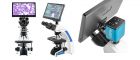 LW Scientific (LWS) Innovation Infinity BioVIEW Trinocular Microscope