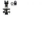 LW Scientific (LWS) Innovation Infinity Polarizing Microscope