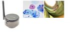 LW Scientific Minivid WiFi Microscope Camera