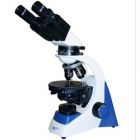 WP 50-CXBP Polarizing Microscope