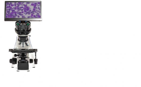 LW Scientific BioVIEW 1080+ Camera and Monitor for Microscope